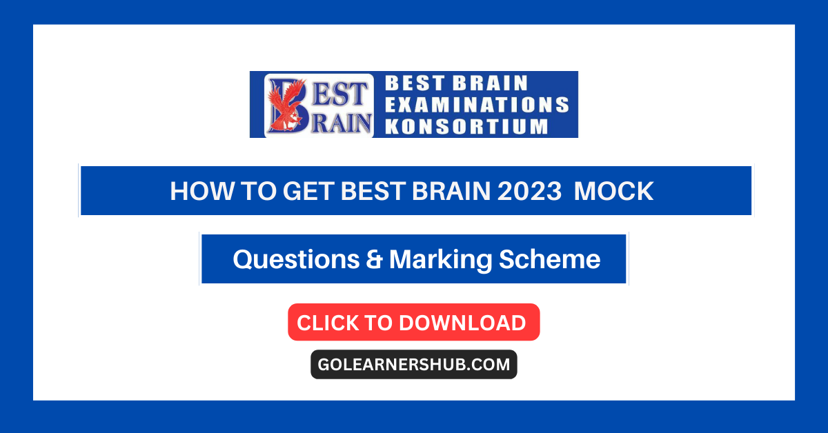 How to Get the Best Brain 2023 Mock Question and Marking Scheme