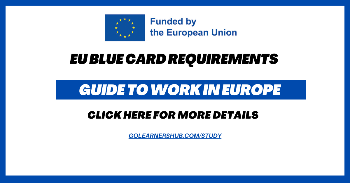 EU Blue Card Requirements in 2024 Guide to Work in Europe