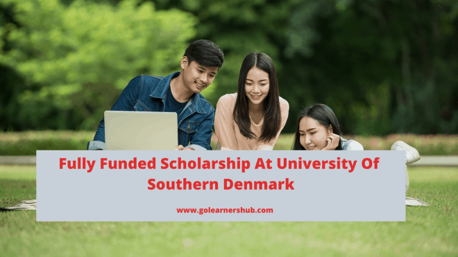 Fully Funded Scholarship At University Of Southern Denmark