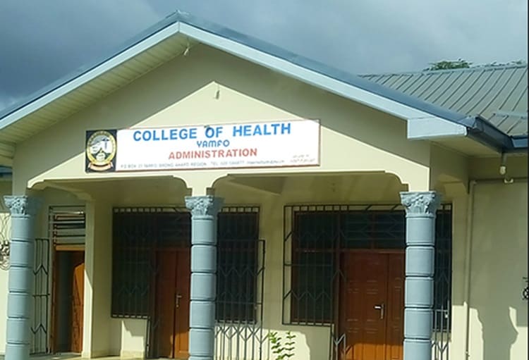 Programmes offered at College of Health YAMFO