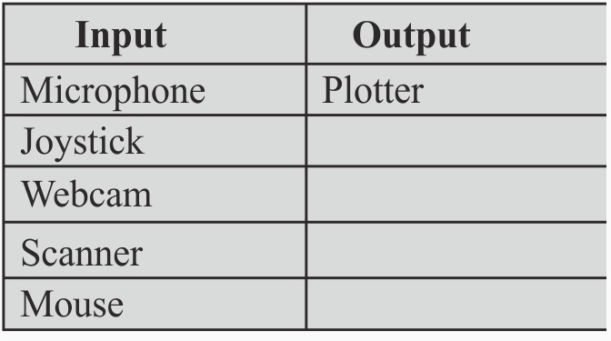 BECE Input and Output Devices